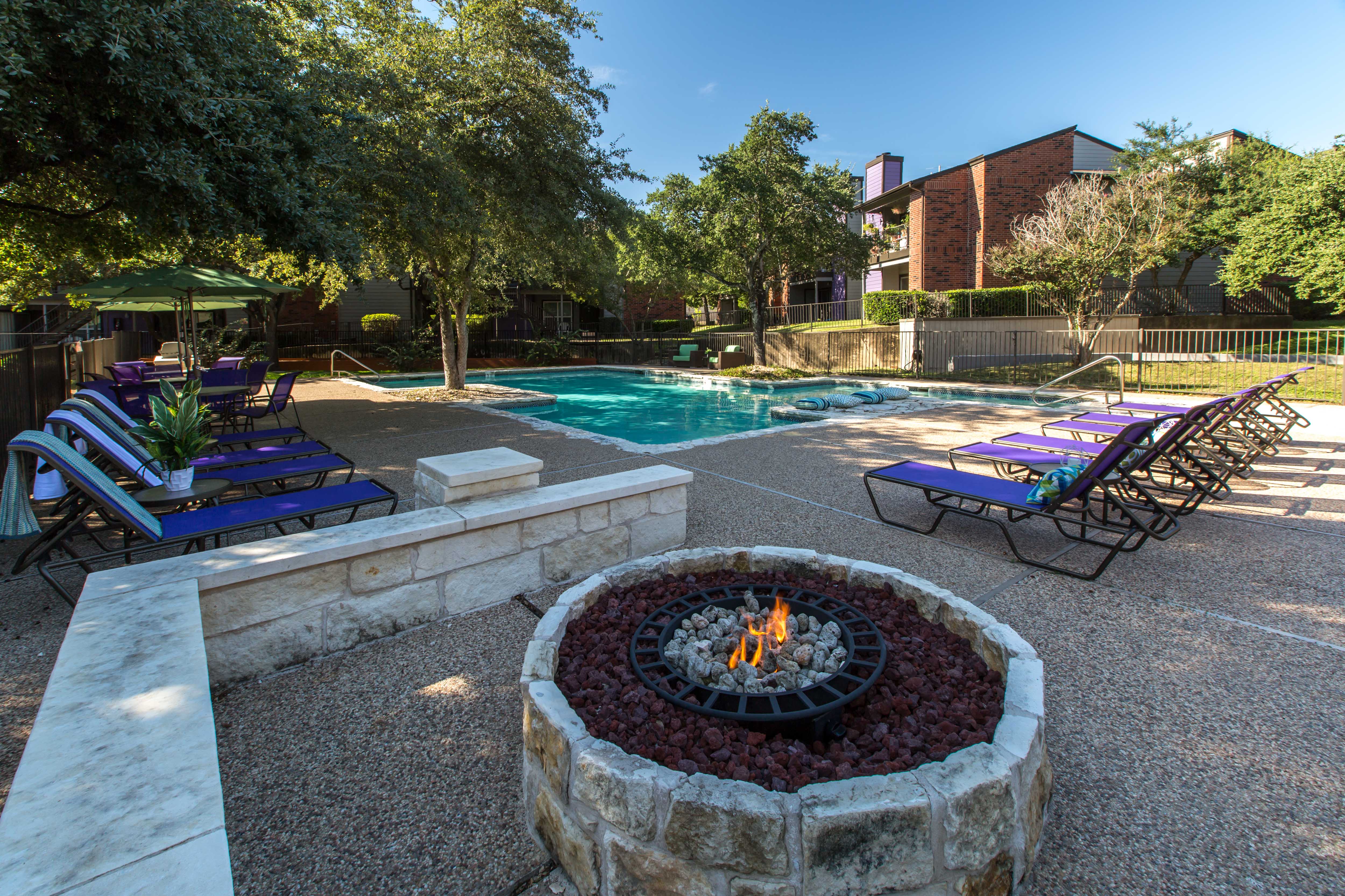 Photos and Video of The Violet in Austin, TX